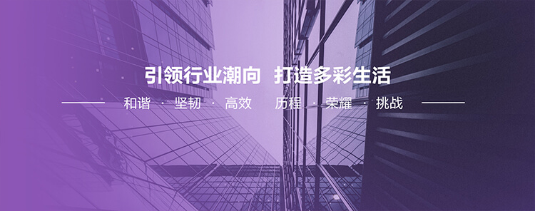 家居商業(yè)航母